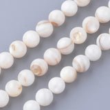 Shell Bead Round Star Heart Loose Beads for Bracelet Jewelry Making