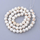 Shell Bead Round Star Heart Loose Beads for Bracelet Jewelry Making