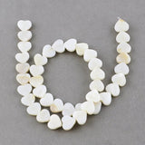 Shell Bead Round Star Heart Loose Beads for Bracelet Jewelry Making
