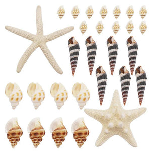 82PCS Natural Conch Beads Starfish Jewelry Making Accessory