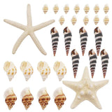 82PCS Natural Conch Beads Starfish Jewelry Making Accessory