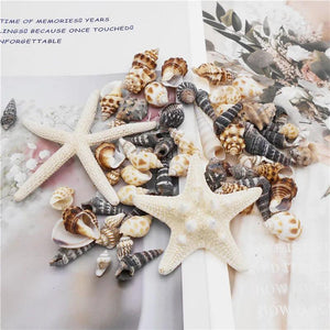 82PCS Natural Conch Beads Starfish Jewelry Making Accessory