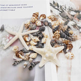 82PCS Natural Conch Beads Starfish Jewelry Making Accessory