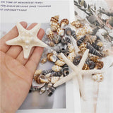 82PCS Natural Conch Beads Starfish Jewelry Making Accessory