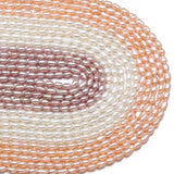 Natural Freshwater Pearl Beads Rice Shape Jewelry Making DIY