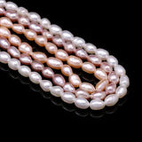 Natural Freshwater Pearl Beads Rice Shape Jewelry Making DIY