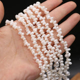 Natural Freshwater Pearl Beads with Notoginseng Hole for Jewelry Making