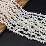 Natural Freshwater Pearl Beads with Notoginseng Hole for Jewelry Making