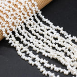 Natural Freshwater Pearl Beads with Notoginseng Hole for Jewelry Making