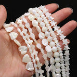 Mother Of Pearl Shell Beads Irregular Loose Beads For Jewelry Making