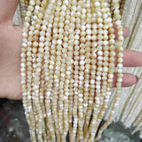 Natural Round Shell Beads 15.5-inch DIY Bracelet Necklace Jewelry