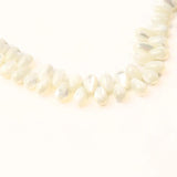 Natural Shell Beads for Jewelry Making DIY