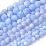 Natural Shell Beads Round Charm Bulk Spacer for DIY Bracelet Making 15in 4-8mm