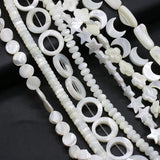 Natural Freshwater Shell Beads Various Shapes DIY Jewelry Making