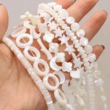 Natural Freshwater Shell Beads Various Shapes DIY Jewelry Making