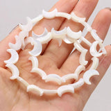 Natural Freshwater Shell Beads Various Shapes DIY Jewelry Making