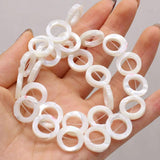 Natural Freshwater Shell Beads Various Shapes DIY Jewelry Making