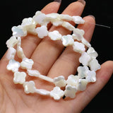 Natural Freshwater Shell Beads Various Shapes DIY Jewelry Making