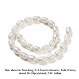 Natural Cultured Freshwater Pearl Beads Rice Shape Loose Beads