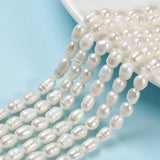 Natural Cultured Freshwater Pearl Beads Rice Shape Loose Beads