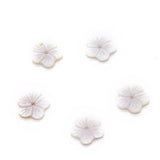 Natural Freshwater Shell Flower Pendant Charm for DIY Jewelry