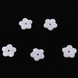 Natural Freshwater Shell Flower Pendant Charm for DIY Jewelry