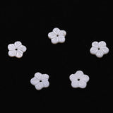 Natural Freshwater Shell Flower Pendant Charm for DIY Jewelry