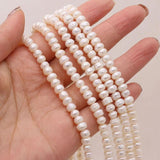 Freshwater Pearls Punch Beads 6-7mm DIY Jewelry Making