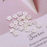 5pcs 10mm Natural Seawater Shell Beads DIY Jewelry Making Gift