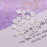 5pcs 10mm Natural Seawater Shell Beads DIY Jewelry Making Gift