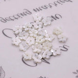 5pcs 10mm Natural Seawater Shell Beads DIY Jewelry Making Gift