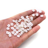 5pcs 10mm Natural Seawater Shell Beads DIY Jewelry Making Gift