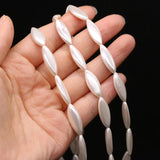 Shell Pearl Pentagram Beads for Jewelry Making