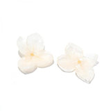 Dried Flowers Charms for DIY Earrings, 2pcs/lot