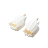Dried Flowers Charms for DIY Earrings, 2pcs/lot