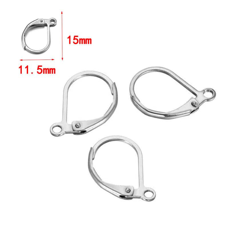 20Pcs Hypoallergenic Leverback Earring Hooks for DIY Jewelry Making