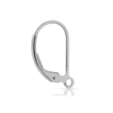 20Pcs Hypoallergenic Leverback Earring Hooks for DIY Jewelry Making