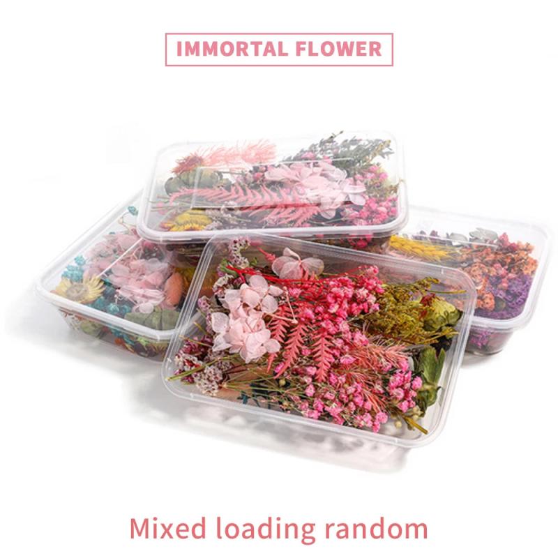 Bulk Mixed Dried Flowers Plants DIY Craft Epoxy Filled Resin Aromatherapy