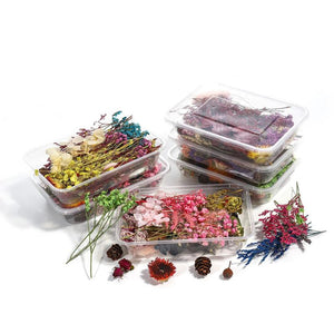 Bulk Mixed Dried Flowers Plants DIY Craft Epoxy Filled Resin Aromatherapy