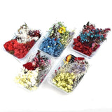 Bulk Mixed Dried Flowers Plants DIY Craft Epoxy Filled Resin Aromatherapy