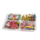 Bulk Mixed Dried Flowers Plants DIY Craft Epoxy Filled Resin Aromatherapy