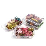Bulk Mixed Dried Flowers Plants DIY Craft Epoxy Filled Resin Aromatherapy