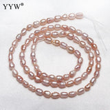 Natural Baroque Freshwater Pearl Beads 2-4mm Sale