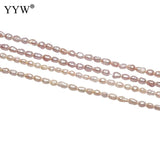 Natural Baroque Freshwater Pearl Beads 2-4mm Sale