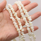Natural Fresh Water Gravel Shell Beading DIY Jewelry Making
