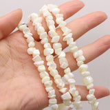 Natural Fresh Water Gravel Shell Beading DIY Jewelry Making