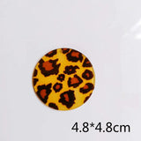 Resin Plastic Acetic Acid Pendant Eardrop Necklace Earring Charms 6pcs