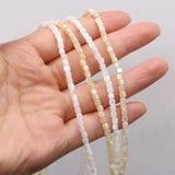 Square Shell Yellow Beads 3.5x3.5mm for Jewelry Making