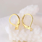 100pcs Leverback Earwire Earrings Hooks DIY Jewelry Making Findings