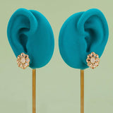 Elegant Zircon Glass Earrings Set for Women
